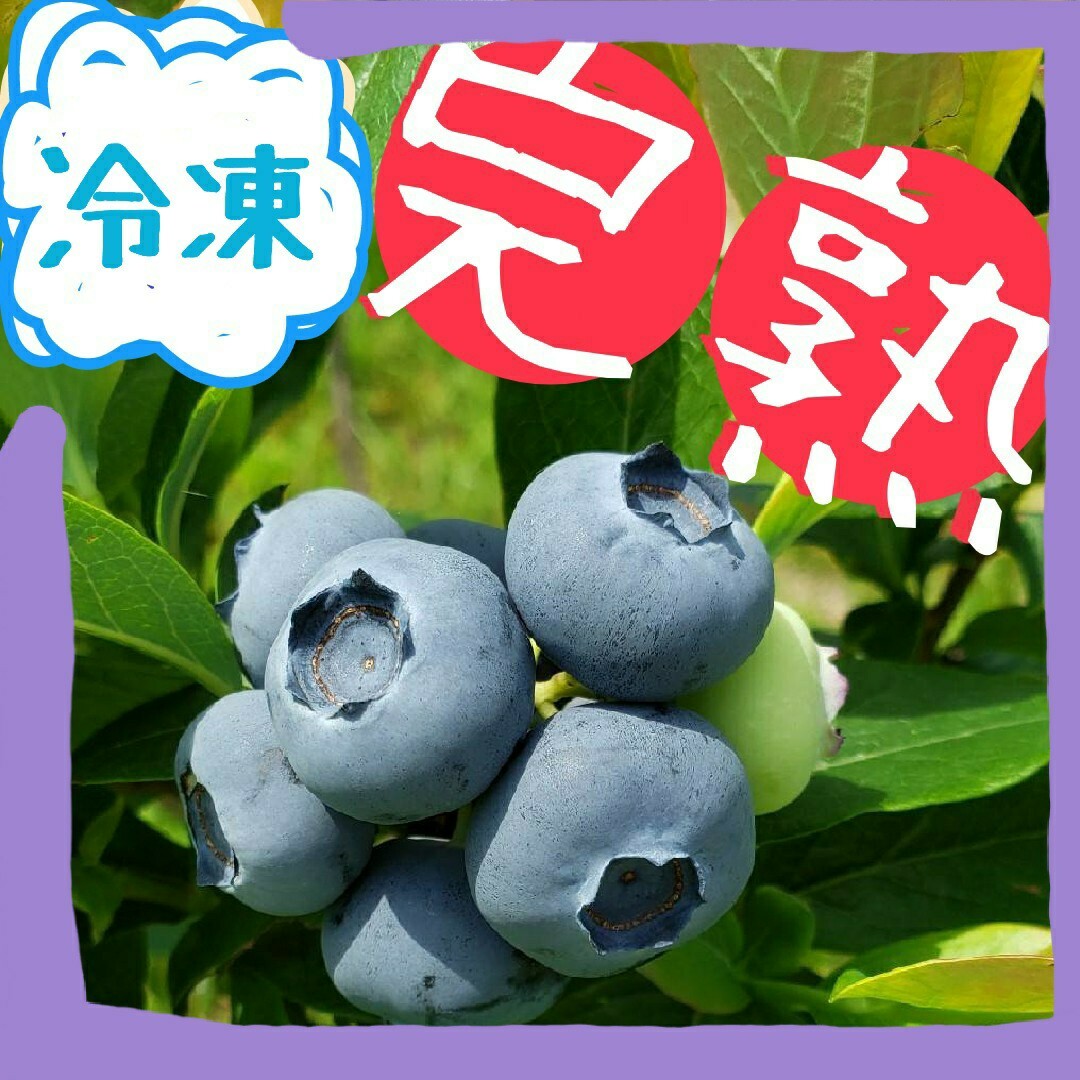 完熟冷凍ブルーベリー【L〜】2kg 食品/飲料/酒の食品(フルーツ)の商品写真