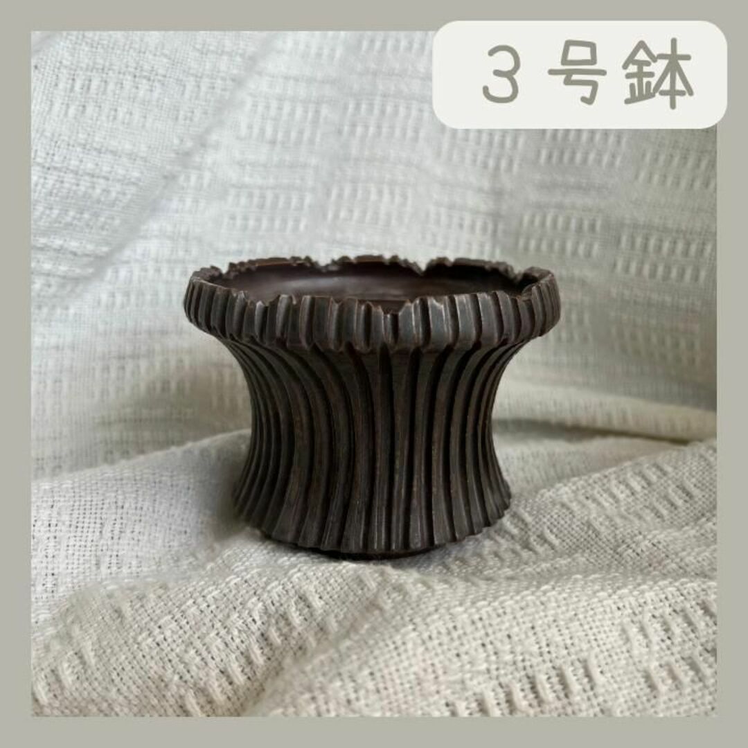 アガベ陶器鉢    植木鉢  塊根植物　    3点セット