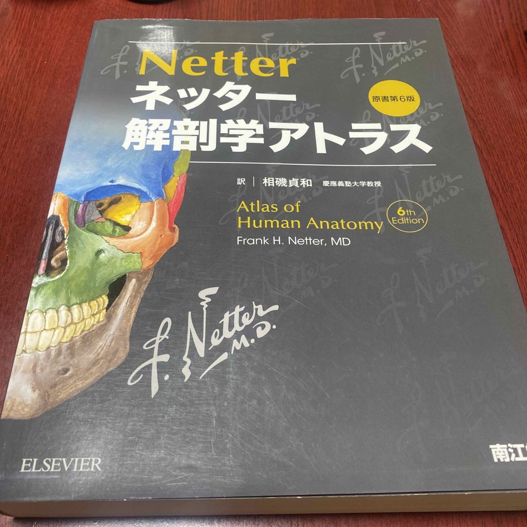 ネッター　解剖学アトラス　健康/医学