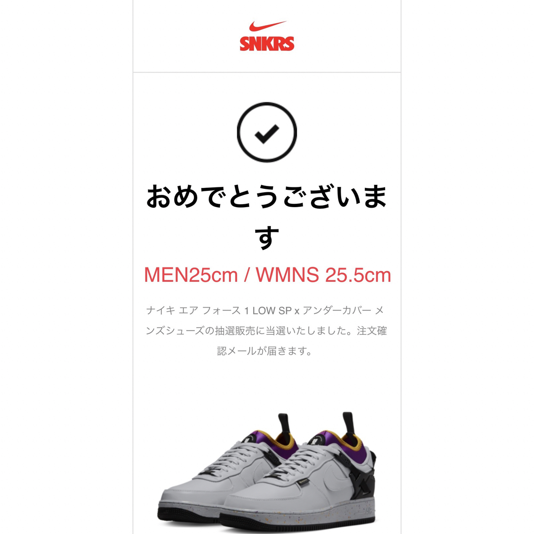 【Nike】エア フォース 1 LOW x アンダーカバー Grey Fog