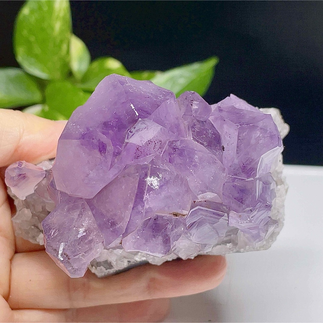【超美品】 アメジスト　クラスター　原石　紫水晶　天然石　鉱物標本　5 6