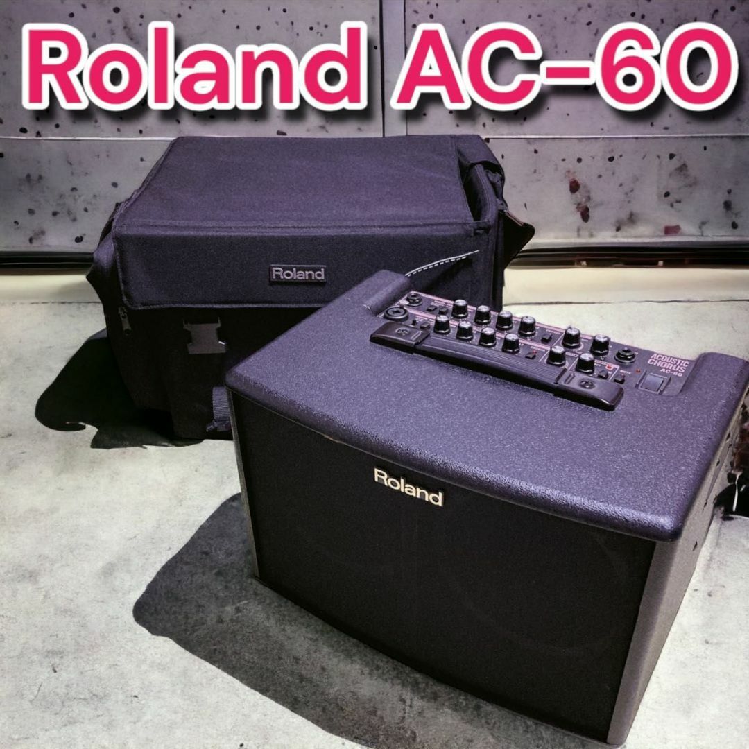 Roland ローランド ギターアンプ AC-60