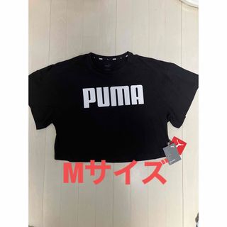 プーマ(PUMA)の新品　プーマ　PUMA Tシャツグロップド丈・ショート丈　ダンス　ヨガ　Mサイズ(Tシャツ(半袖/袖なし))