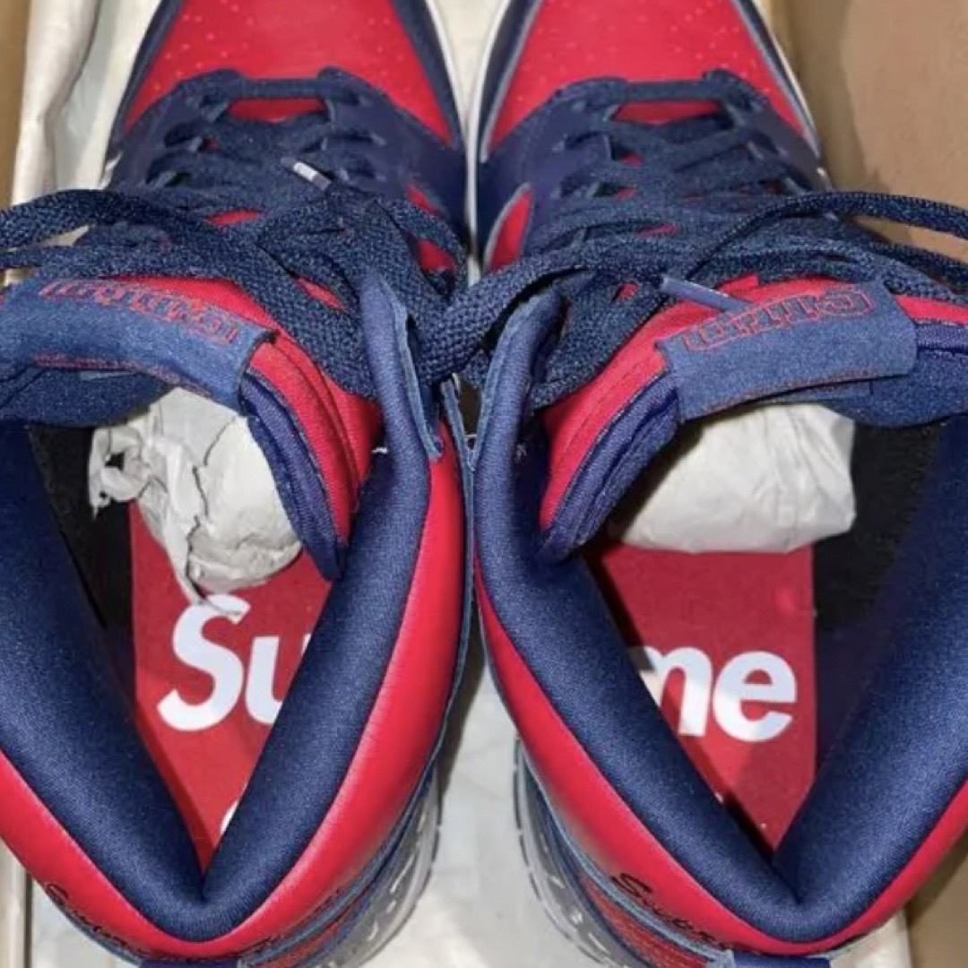 Supreme Nike SB Dunk High By Any Means