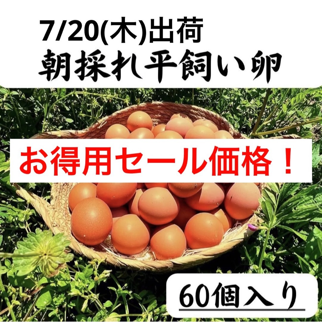60個入 宮下養鶏の朝採れ平飼い卵 - 通販 - wayambaads.com