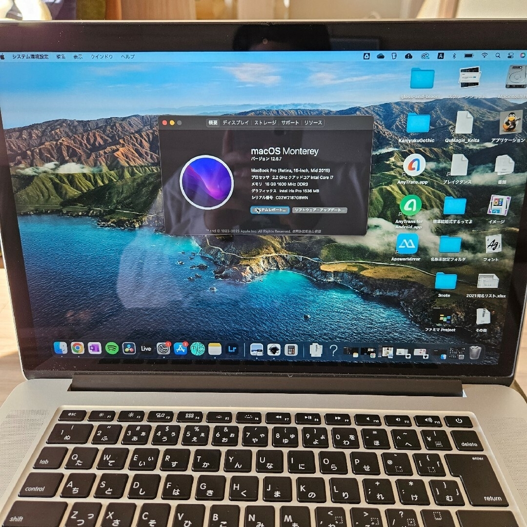 【美品】MacBook Pro 15インチ Mid 2015 256GB