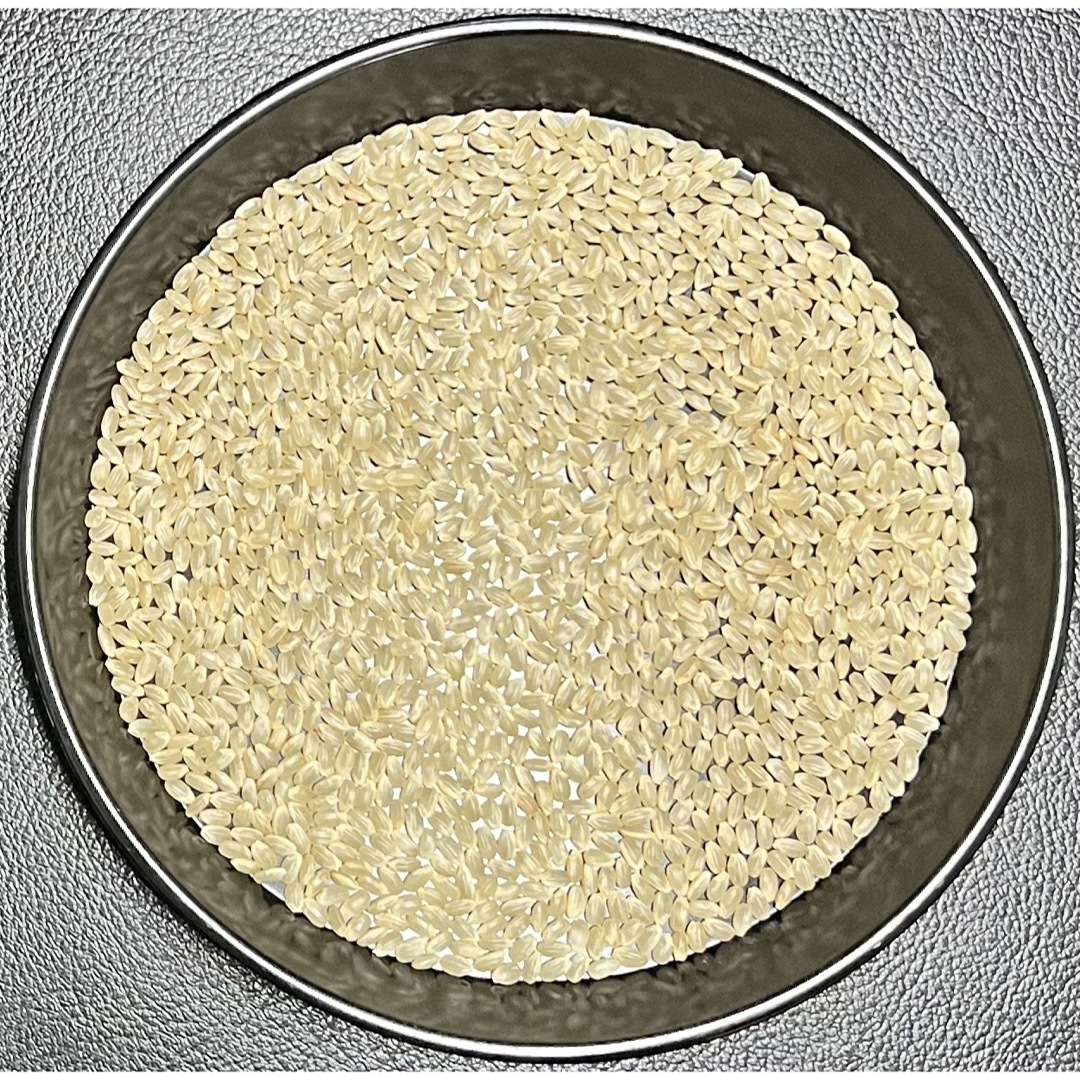 玄米 30kg 京都 丹後 米 コシヒカリ 送料無料