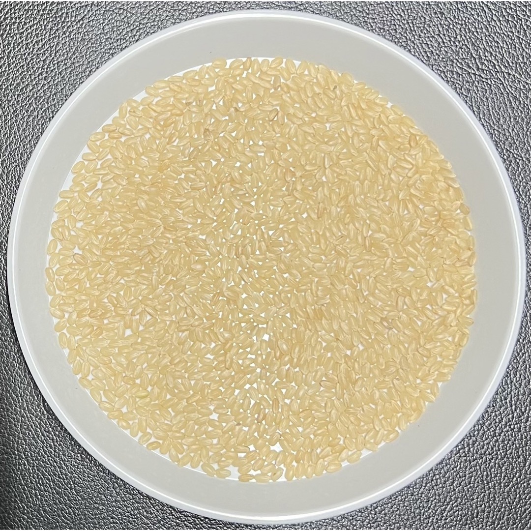 玄米 30kg 京都 丹後 米 コシヒカリ 送料無料