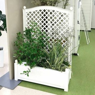 新品 未開封 トレリスプランター L ホワイト ロココ ローズ 薔薇/Cの