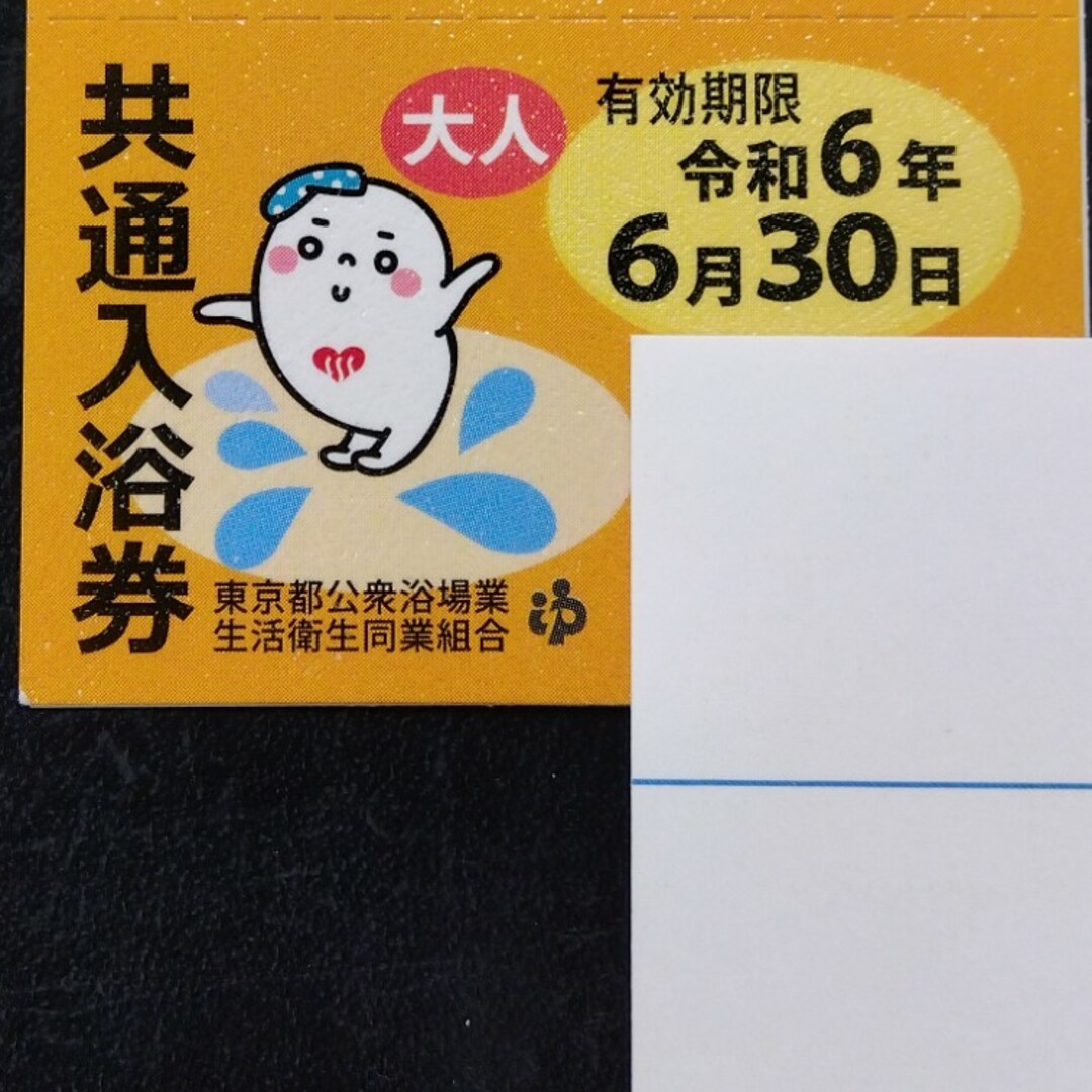 東京都 共通入浴券 10枚 銭湯 回数券