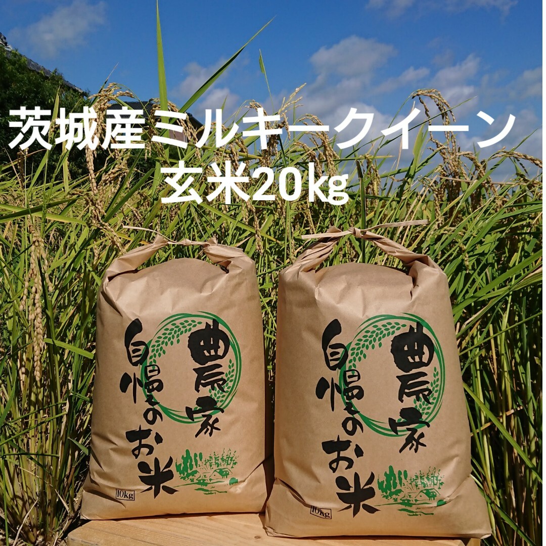 茨城令和4年産ミルキークイーン玄米20kg　米/穀物