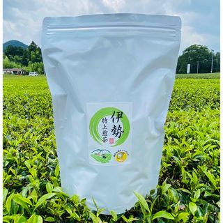 お得用◎緑茶◎糸付きティーバッグ100個入り(茶)