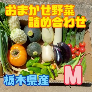 おまかせ野菜詰め合わせBOX【M】(野菜)