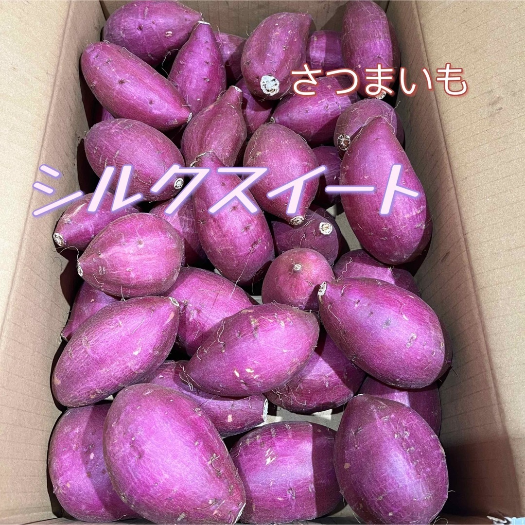 シルクスイート　千葉県産　箱含む5kg   さつまいも 食品/飲料/酒の食品(野菜)の商品写真