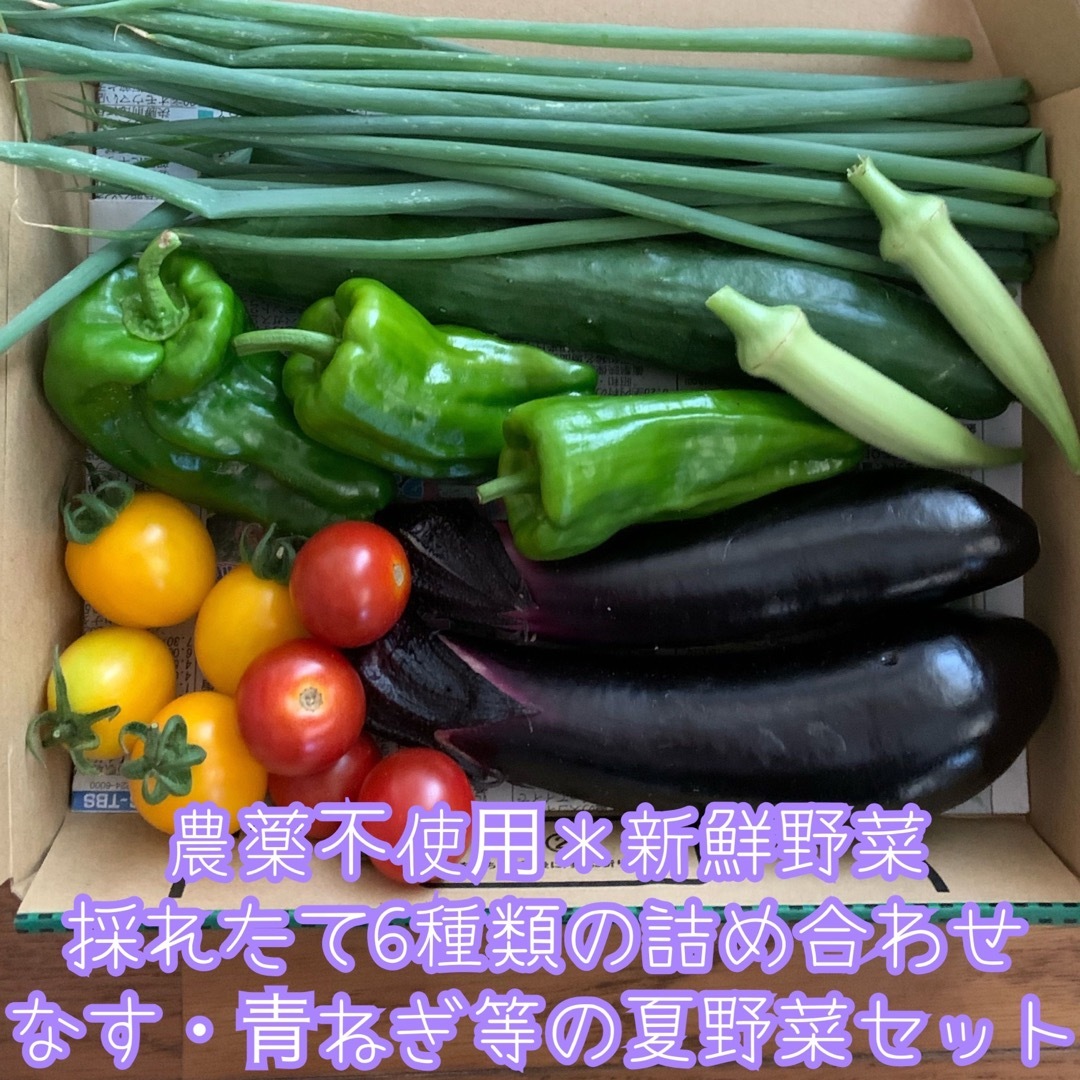 お試し価格！】 夏野菜詰め合わせ 農薬不使用