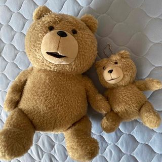 Ted ぬいぐるみ　セット(ぬいぐるみ)