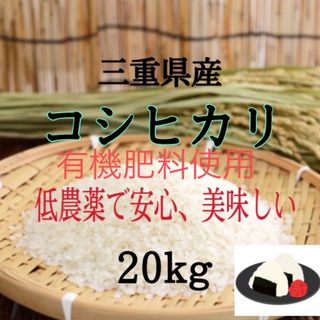 三重県産コシヒカリ　20kg   精米出来ます(米/穀物)