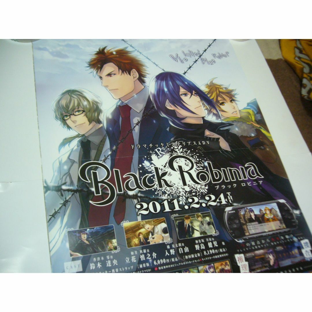 貴重 B2大 ポスター　Black Robinia  ブラックロビニア