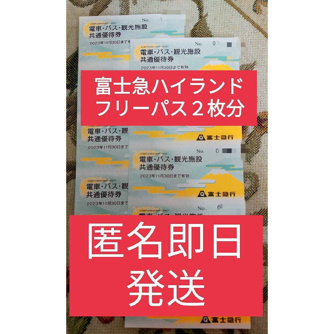 富士急ハイランド フリーパス 2名分 株主優待 - 遊園地/テーマパーク