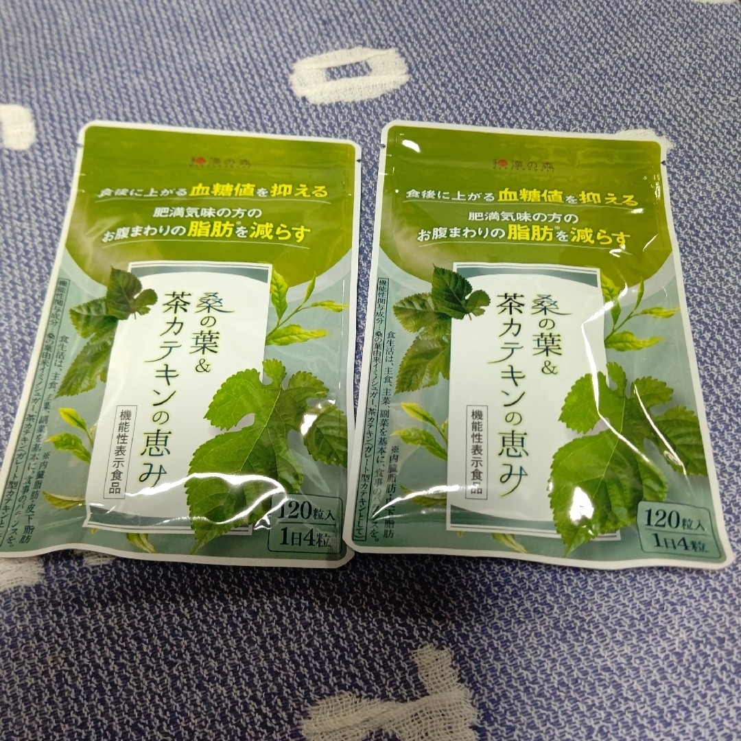 和漢の森 桑の葉茶カテキンの恵み 120粒入 ×2袋