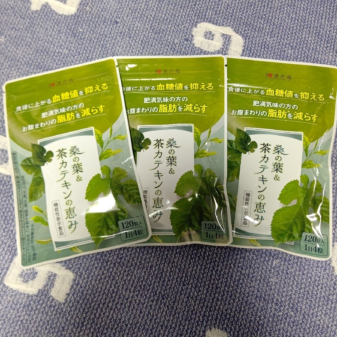 和漢の森 桑の葉&茶カテキンの恵み 120粒入 ×3袋
