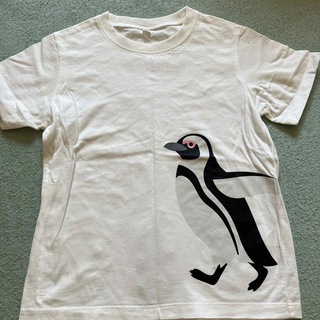 ムジルシリョウヒン(MUJI (無印良品))の無印良品　ペンギン　120(Tシャツ/カットソー)