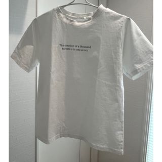 ハニーズ(HONEYS)のHoneys レディース Tシャツ M(Tシャツ(半袖/袖なし))