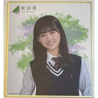 欅坂46　櫻坂46　原田葵　ミニ色紙