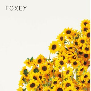 フォクシー(FOXEY)のご専用(その他)