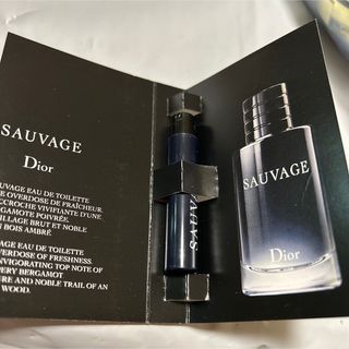 クリスチャンディオール(Christian Dior)のディオールソヴァージュオードトワレ(香水(男性用))