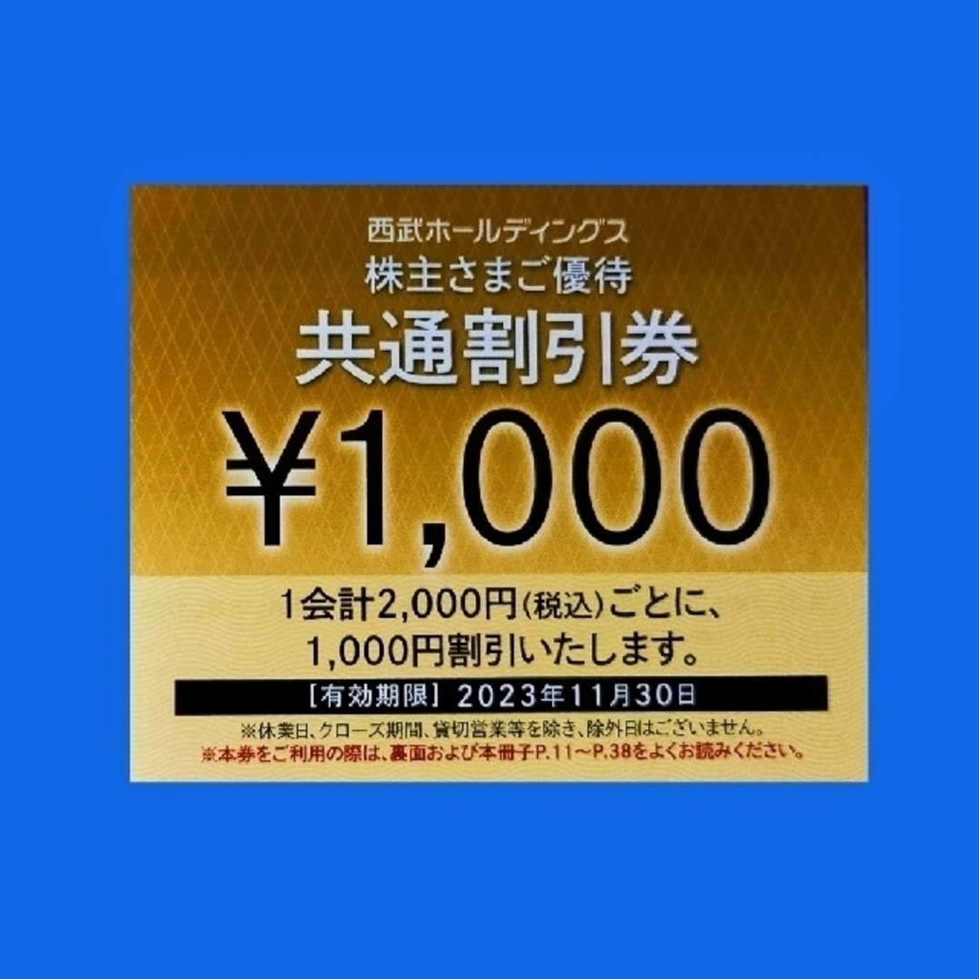 西武ホールディングス株主優待　共通割引券１０枚