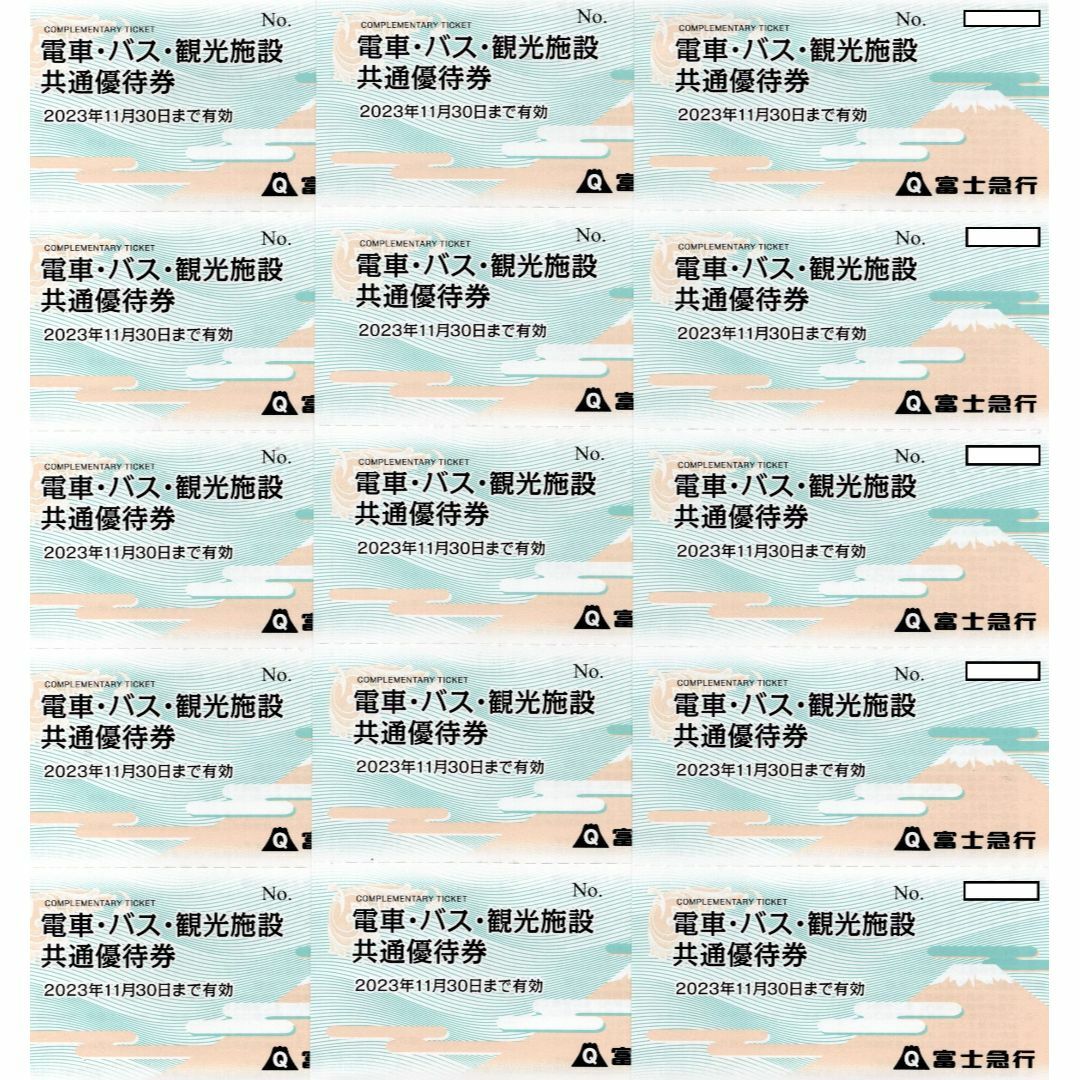 お手軽価格で贈りやすい 富士急ハイランドフリーパス引換券 富士急行