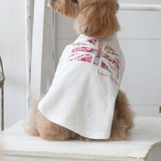 ローラアシュレイ(LAURA ASHLEY)の新品✨タグ付き♪ LAURA ASHLEY /犬服(ドッグウェア)(犬)