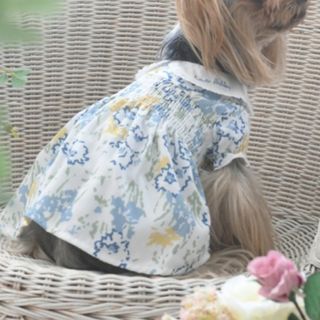 LAURA ASHLEY - 新品✨タグ付き♪ LAURA ASHLEY /犬服(ドッグウェア)の