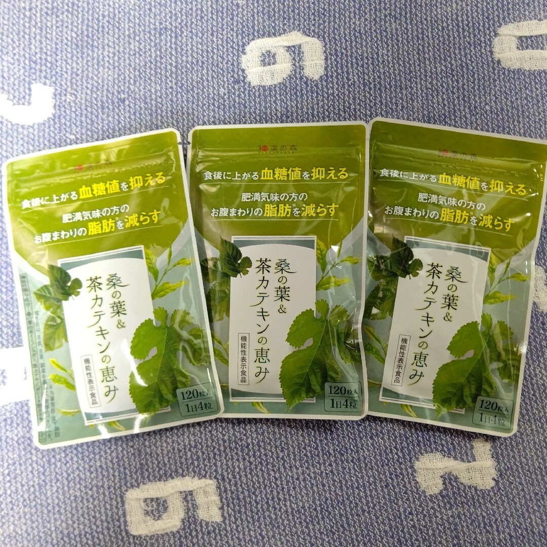 和漢の森 桑の葉&茶カテキンの恵み 120粒入 ×3袋その他