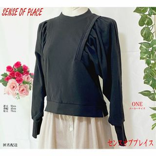 センスオブプレイスバイアーバンリサーチ(SENSE OF PLACE by URBAN RESEARCH)のセンスオブプレイスバイアーバンリサーチ(Tシャツ(長袖/七分))