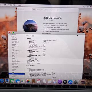 Mac (Apple) - MacBook Pro メモリ16GB SSD256GB Office2021の通販 by
