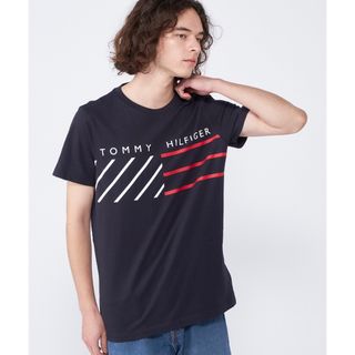 トミーヒルフィガー(TOMMY HILFIGER)のもと様専用　トミーヒルフィガー tシャツ メンズ Lサイズ (Tシャツ/カットソー(半袖/袖なし))