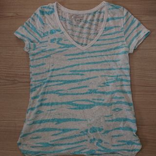 アメリカンイーグル(American Eagle)のアメンカンイーグル半袖T(L)(Tシャツ(半袖/袖なし))