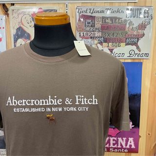 アバクロンビーアンドフィッチ(Abercrombie&Fitch)の新品★アバクロメンズ刺繍ロゴＴシャツブラウン★サイズM(Tシャツ/カットソー(半袖/袖なし))