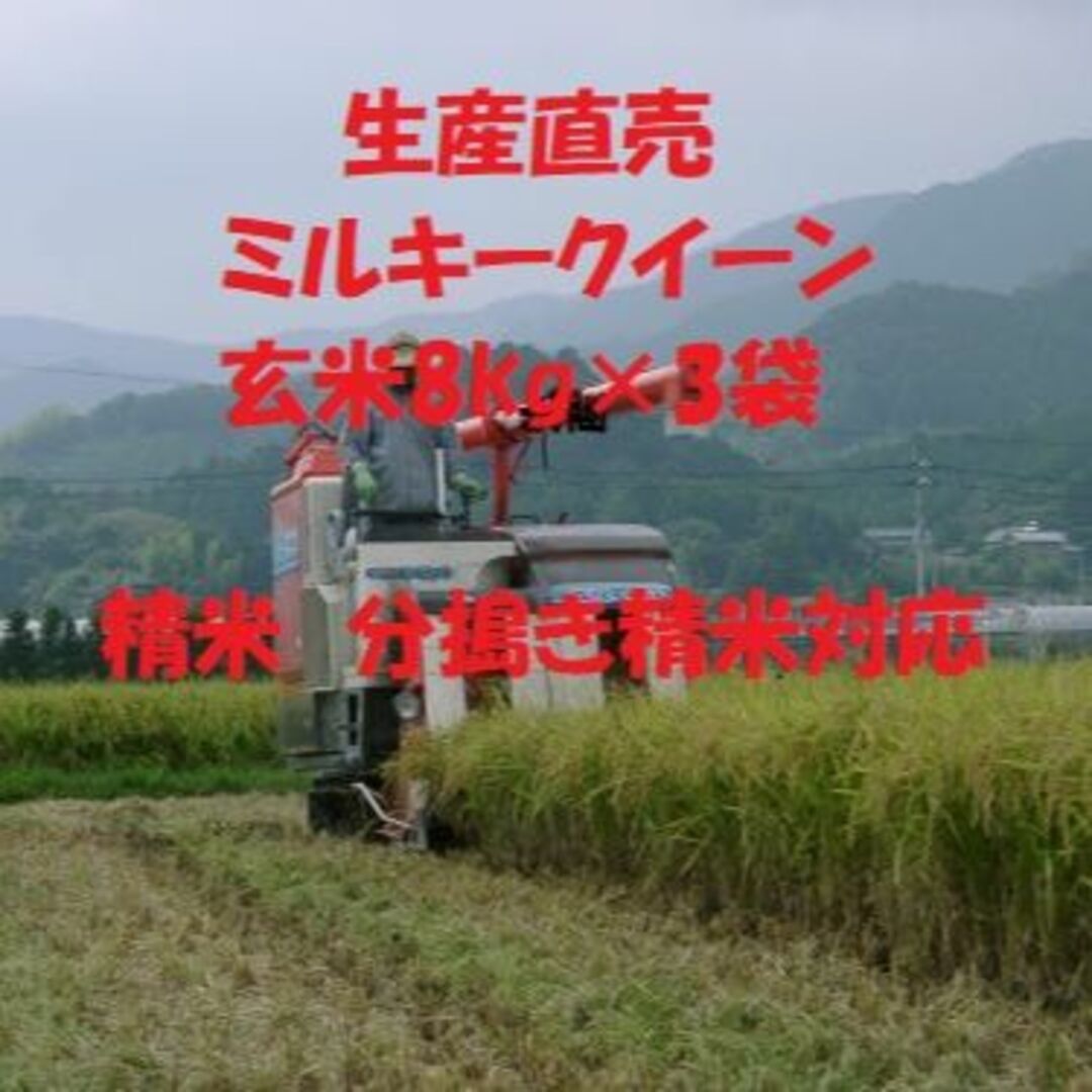 玄米24kg（8㎏×3）令和４年産新米ミルキークイーン 精米・分搗き精米対応