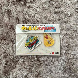 ジャニーズジュニア(ジャニーズJr.)のわっしょいCAMP! グッズ（アクリルチャーム、ペンライトトップ）(アイドルグッズ)