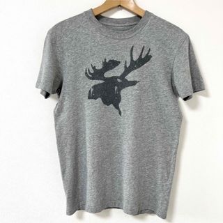 アバクロンビーアンドフィッチ(Abercrombie&Fitch)のアバクロ　プリントTシャツ(Tシャツ/カットソー(半袖/袖なし))