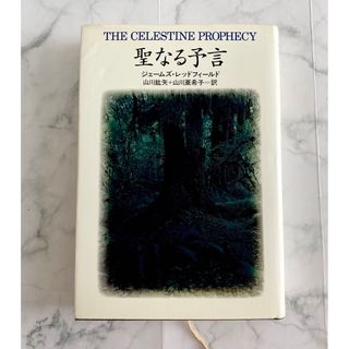 聖なる予言(文学/小説)