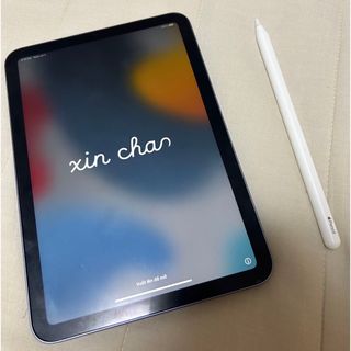 Apple - iPad mini 第6世代 Wi-Fiモデル Apple Pencilセットの通販 by