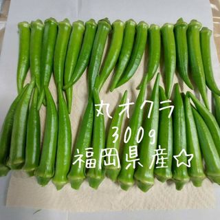 丸オクラ　300g　福岡県産(野菜)