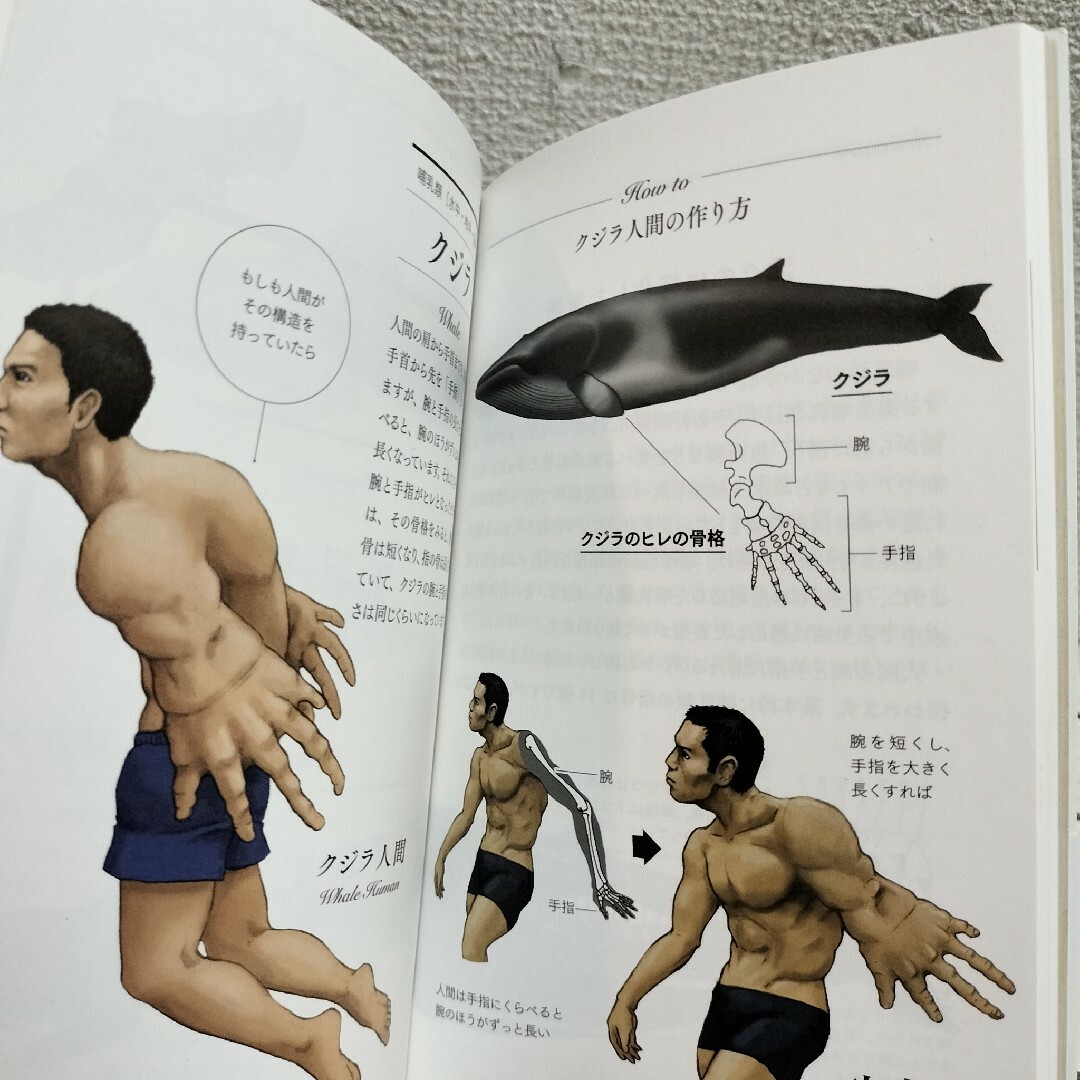カメの甲羅はあばら骨 人体で表す動物図鑑 』□ 川崎悟司 / 生物学