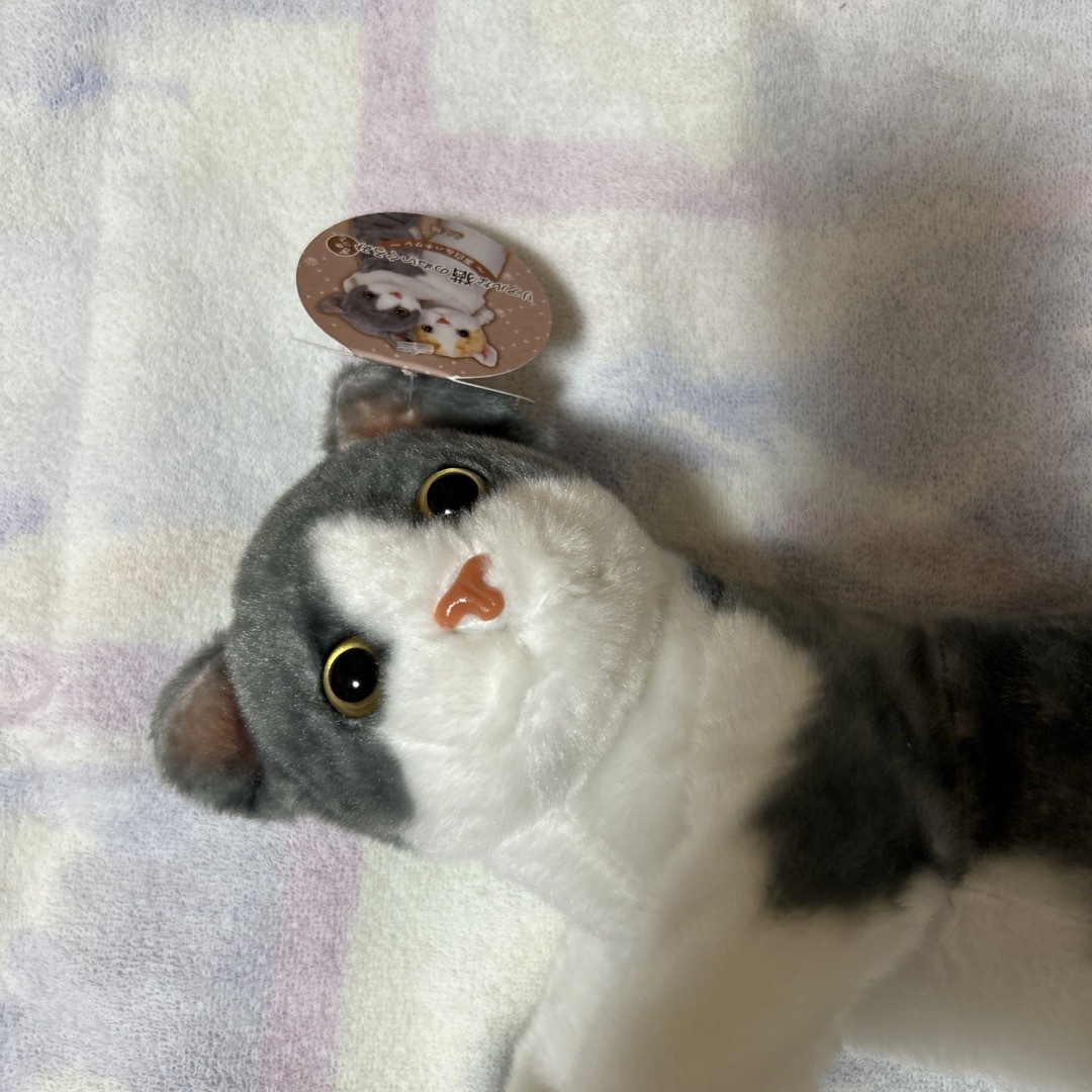 最終値下げ　リアルな猫のぬいぐるみ　ぎゅっと　ハチワレ エンタメ/ホビーのおもちゃ/ぬいぐるみ(キャラクターグッズ)の商品写真