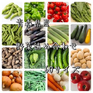 青森県産　野菜詰め合わせ　60サイズ(野菜)