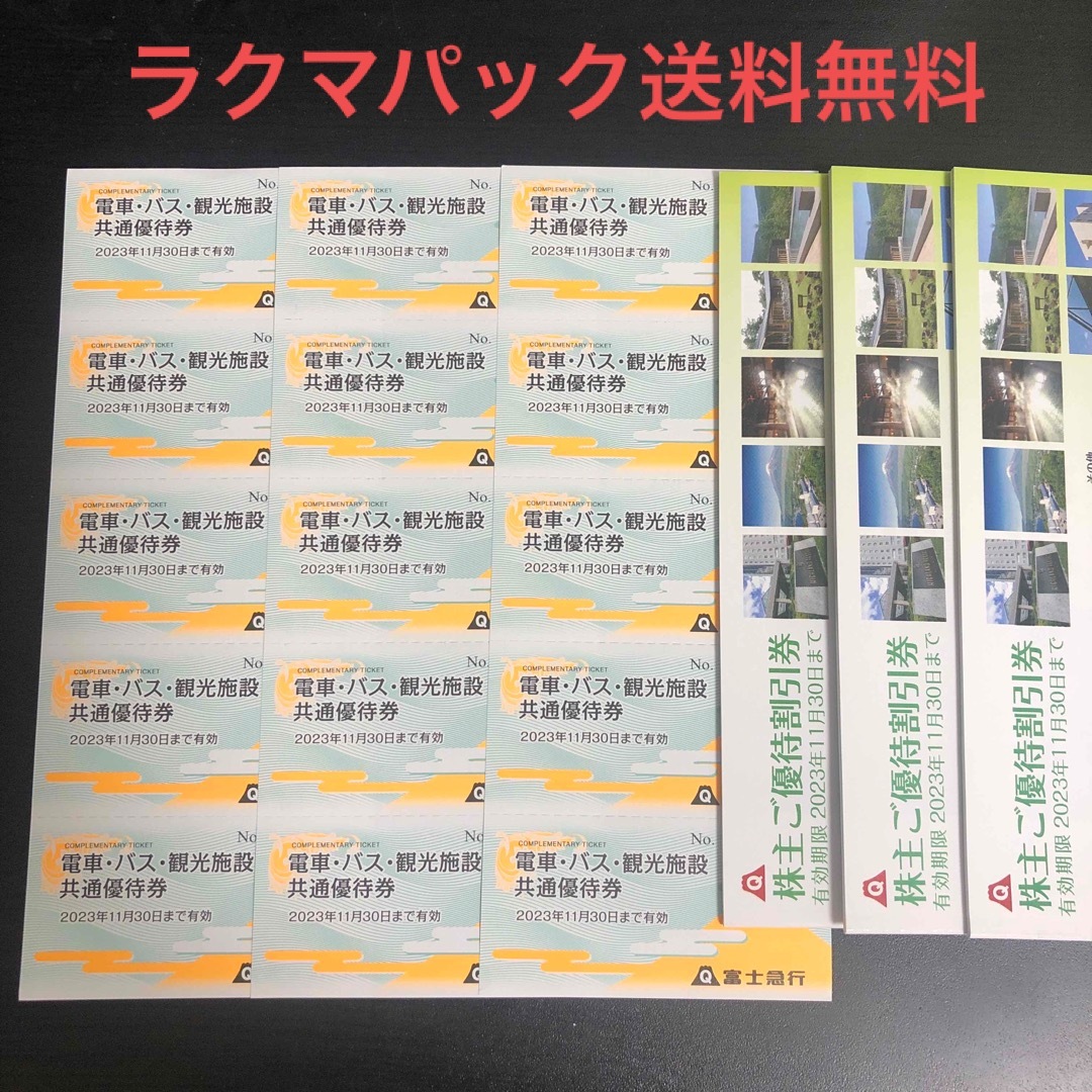 富士急行 株式優待 富士急ハイランドフリーパス3枚相当 www ...